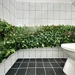 Forest Natural Oasis & Free Parking Гёдёллё