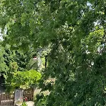 Forest Natural Oasis & Free Parking Апартаменты